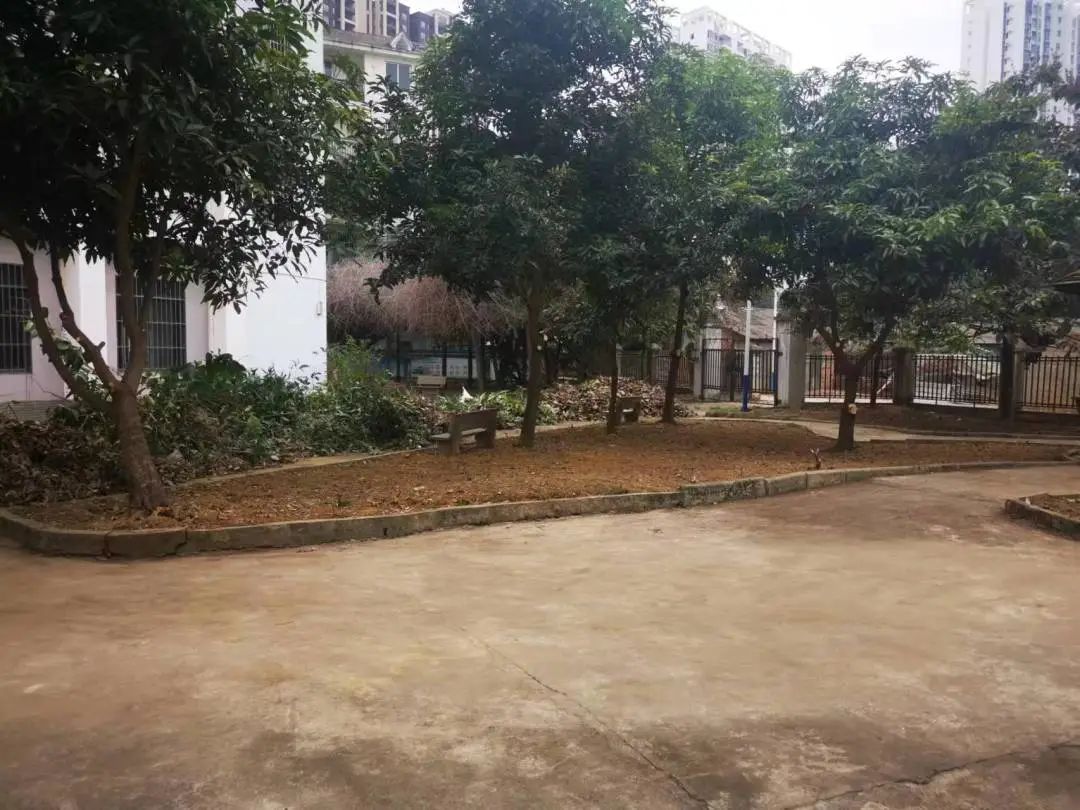 IMG_9446(20221212-005404).JPG 圖片