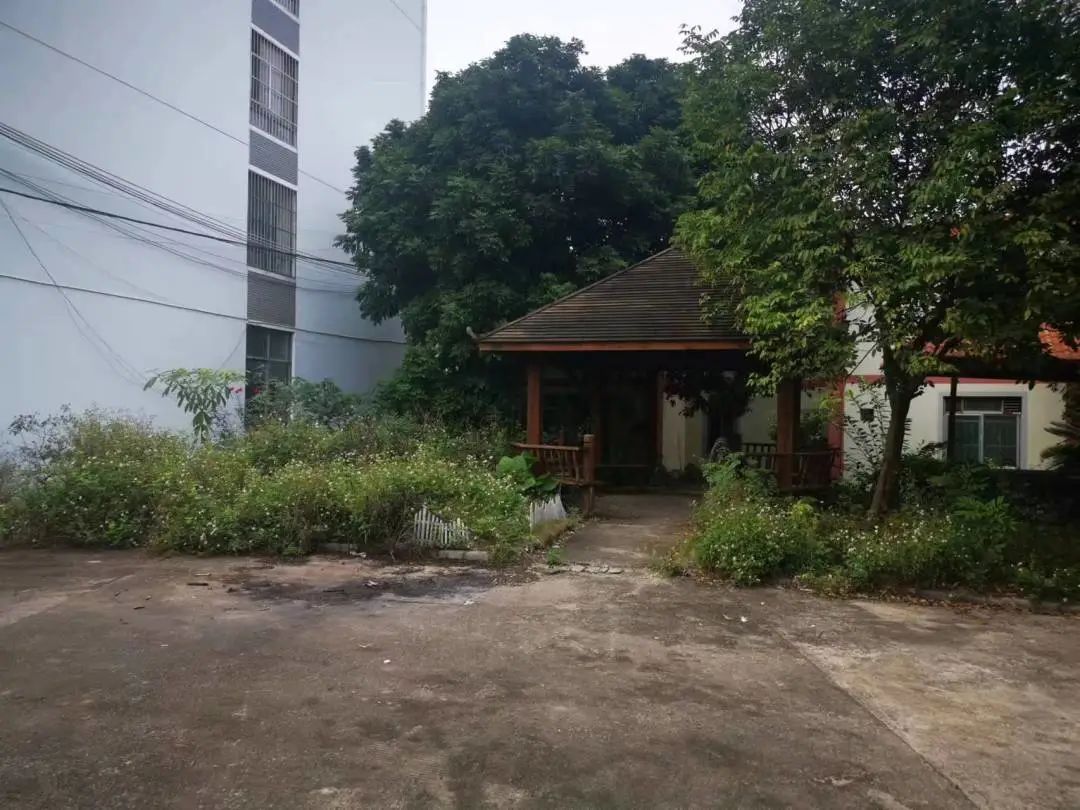 IMG_9365(20221212-005404).JPG 圖片